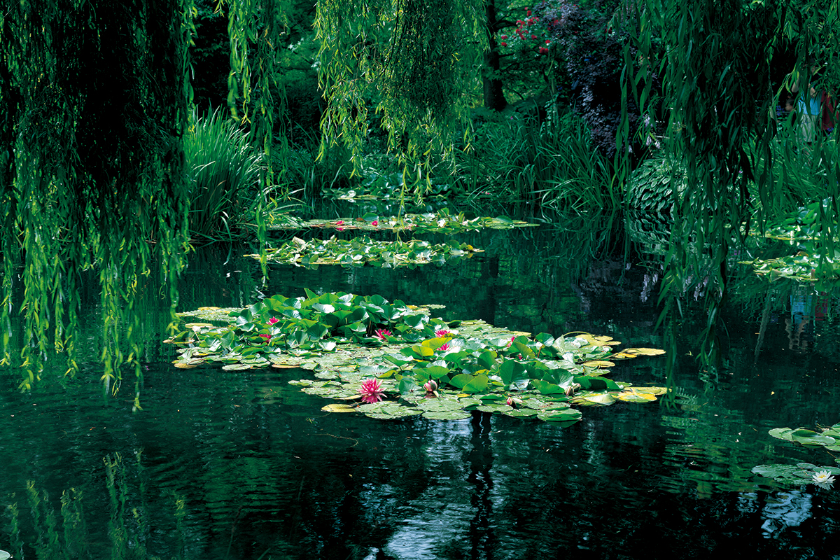 モネ　睡蓮 「緑の反映」 版画　私の美術館 モネ 睡蓮 「緑の反映」 版画 私の美術館 モネ 睡蓮 「緑の反映」 版画