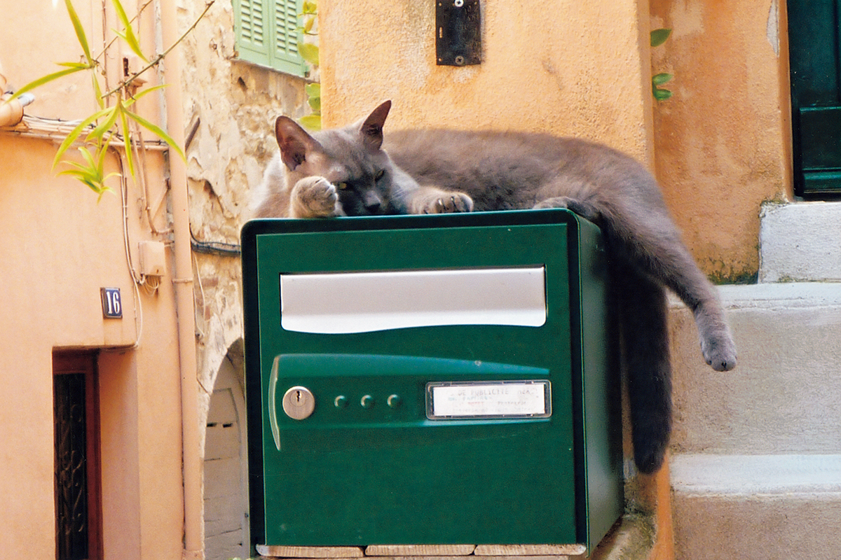 治療のこころ 13冊セット　ひろゆき ひろゆきのシン・未来予測 | ひろゆき(西村博之) |本 | 通販