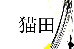 2月22日はネコの日。平安時代に猫を飼っていたのは身分の高い人だけだった！？