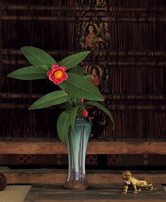 文化としての椿」を大切に守り伝える奈良の人々。椿の達人 橋村公英