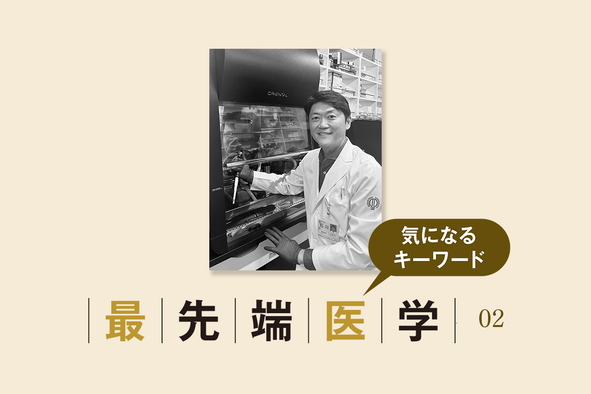 main_image_70122ac397635177eb2