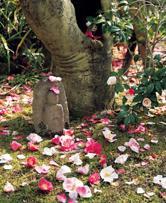 昭和レトロ　椿の花柄の黄色いナツメ レトロポップ ショッキングピンク 椿柄 個性的 目立つ かわいい