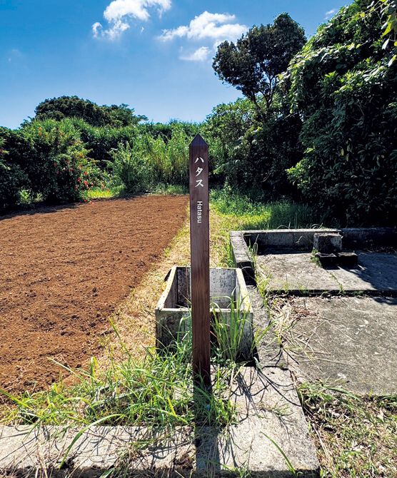 漂着した五穀の種子が入った壺の中から、麦の種子を最初に蒔いた場所。