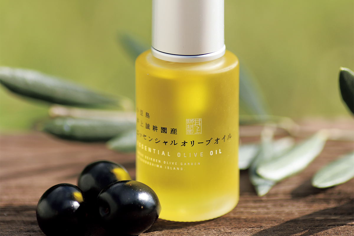 1本の木からわずかしか取れない、毎年好評の美容オリーブオイルが限定