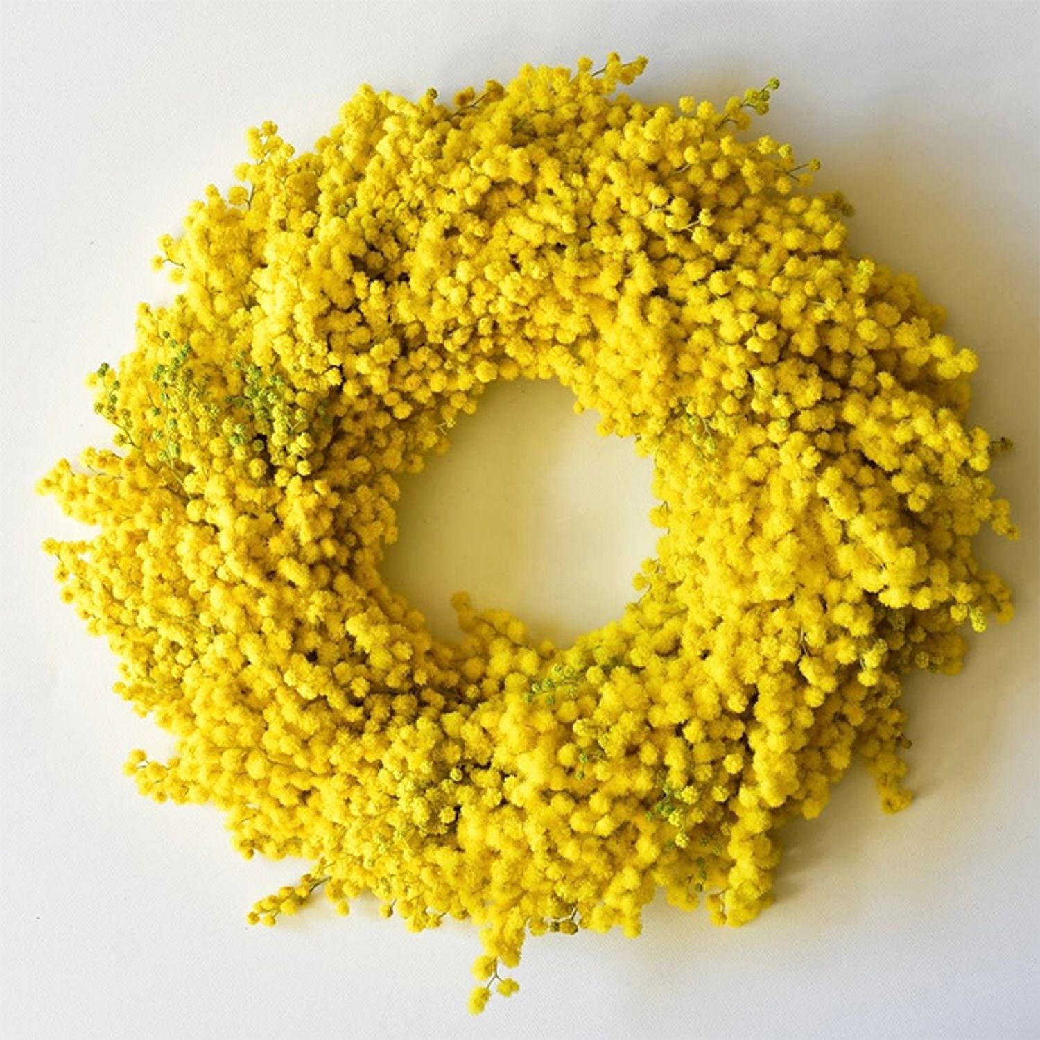 ミモザのリースで人気が高いのが、黄色の花だけを利用したデザインです。これは花が大きな‘ミランドール’のみで作ったリース。輝く黄色をより強く印象づけます。花はそのままドライにすると、色は褪せるものの小さなボール状になって残ります。木のつるで編んだリースベース（約20cm）を利用。