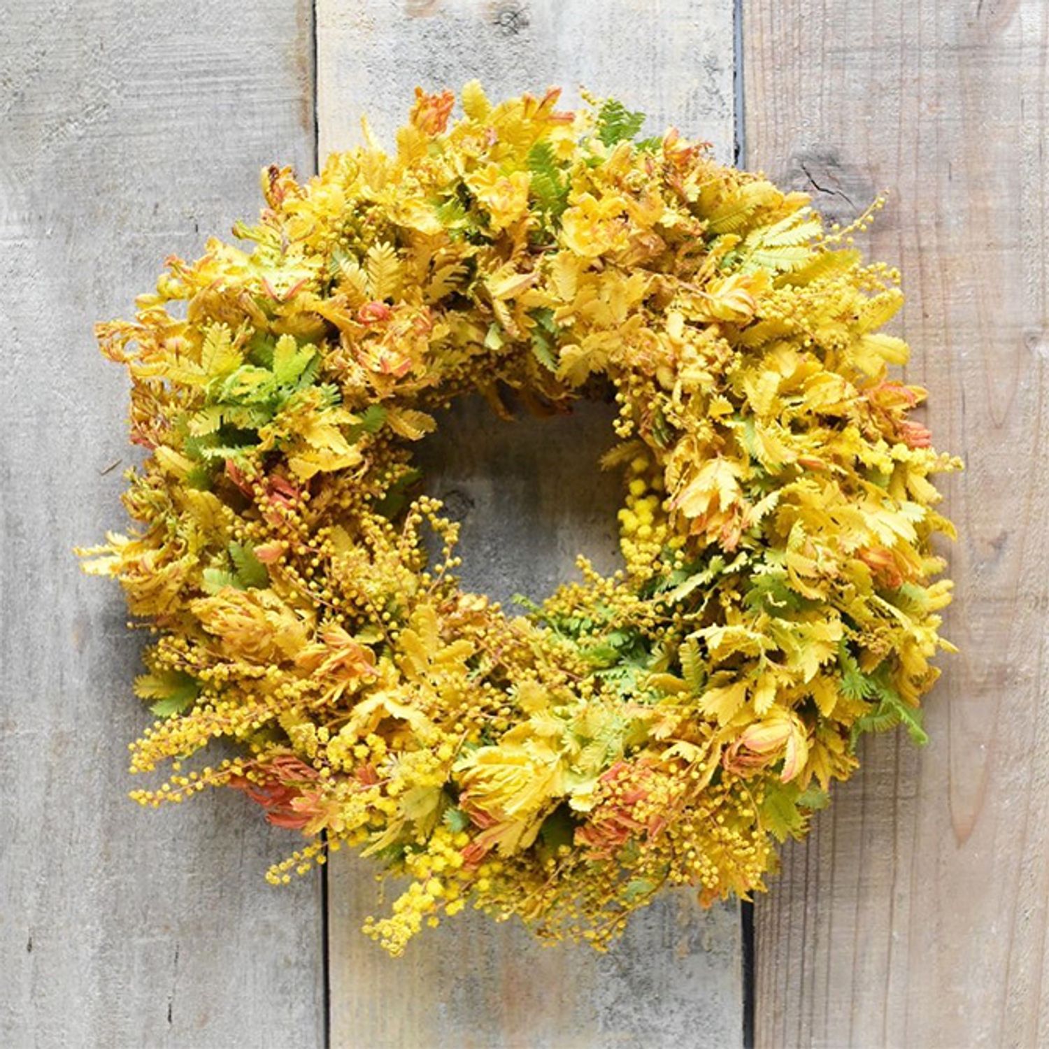 花も葉も金色！金葉アカシアだけで作ったリースは、軽やかながら、大人っぽい雰囲気が楽しめます。金葉アカシアは出回り量が少ないので、ご存じない方も多く、新鮮な印象かもしれません。木のつるで編んだリースベース（約20cm）を利用。
