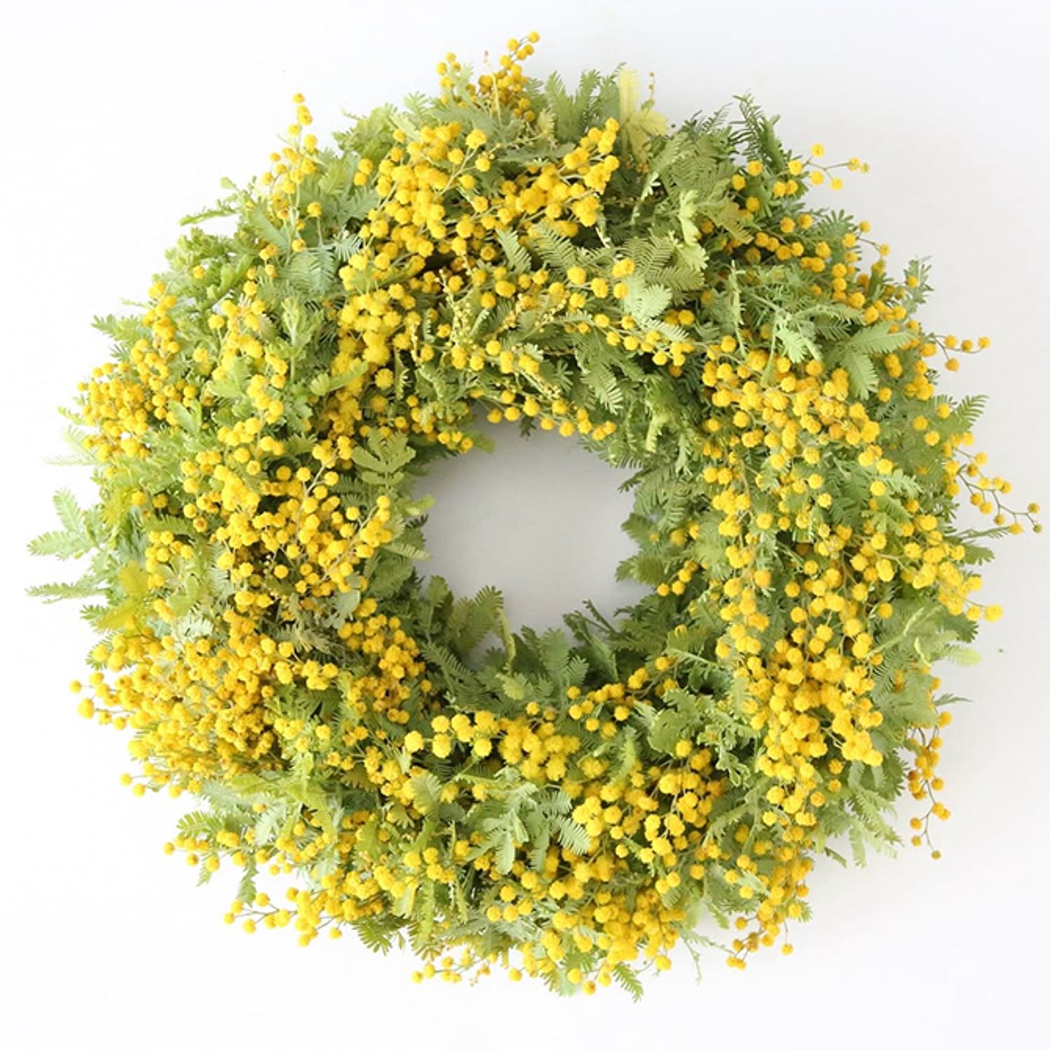 ‘ミランドール’の花と、‘オーレア’の明るい葉を組み合わせたリースです。全体を軽やかに仕上げたいとときには、明るい葉色を使うのが効果的。‘オーレア’の葉の繊細でやわらかな印象が、リースを優しげな雰囲気にしてくれます。木のつるで編んだリースベース（約20cm）を利用。