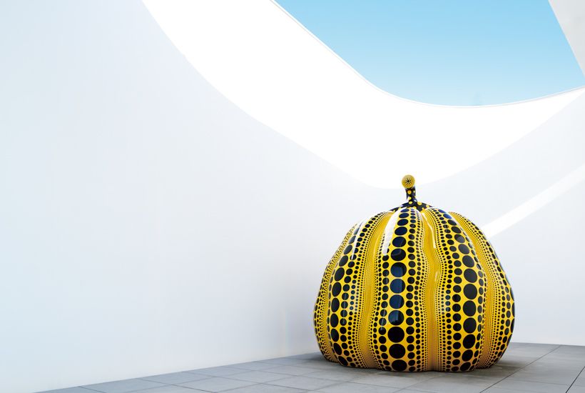 屋上に展示されている《大いなる巨大な南瓜》（2024）一日の中での光の移り変わりによって作品も表情を変える。来館者に人気の撮影スポット。©YAYOI KUSAMA