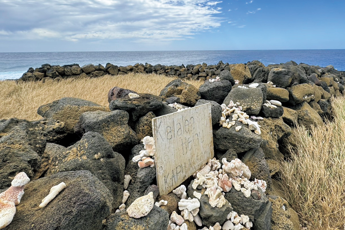 数秘研究家のともこさんが訪ねる、日本と深く結びつく古代ハワイアンの