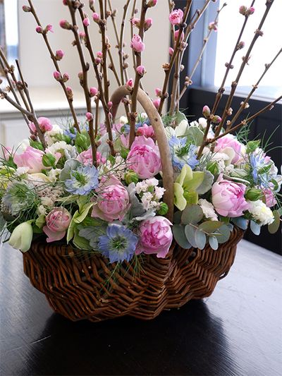 香川県から届いたハナモモ‘さきがけ’を枝ごと生かしてバスケットにアレンジしました。バラ‘シーアネモネ’の上品なピンクが引き立つように、クリスマスローズ‘バレンタイングリーン’、ニゲラ‘ミスジーキル’、スターチス‘ミルキーウェイ’と‘シトロン’など淡い花色を集めました。