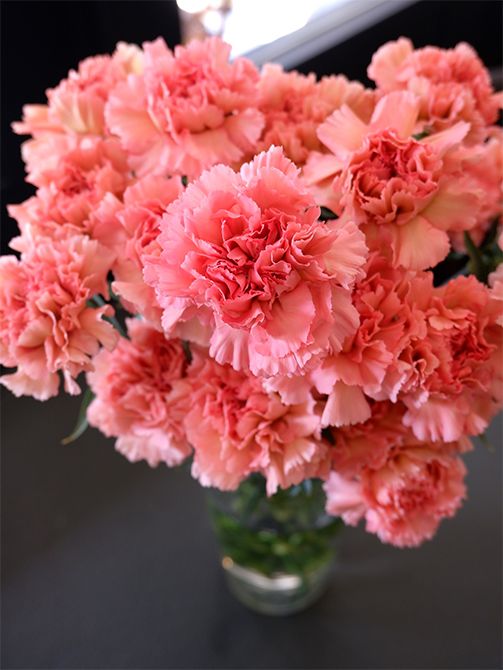 長崎県の「TSUYOSHI FLOWER」さん生産のカーネーション‘ブリュレ’。くすみのない華やかなアプリコットピンクで、ボリューム感たっぷり。花形もとてもきれい！ちょうどこの時期に出回ります。