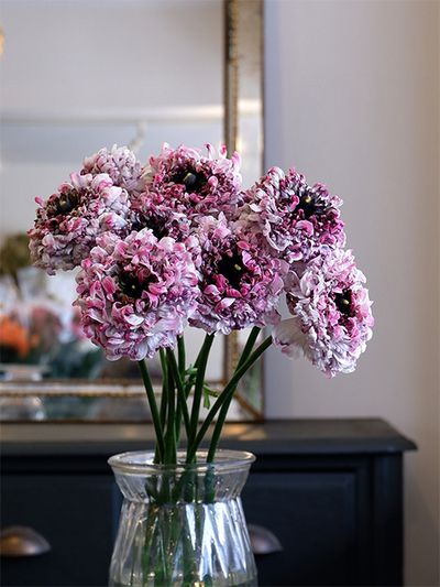 ラナンキュラスには個性的なピンクの品種が多くあり、この‘モロッコ HMラブ’もその一つ。シックなピンクから濃い赤紫の花色がなんとも魅力的です。大人っぽい雰囲気を出したいときにぜひ使いたい花です。宮崎県の「JAこばやし」の「ひなたモロッコ」というブランドの1種で、今期初登場の品種です。