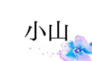ルーツの地は「おやま」と読むが、8割以上が「こやま」と読む。面白い名字「小山」