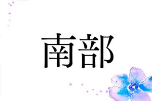実は地名由来の名字「南部」。ルーツは清和源氏の名家です