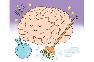 認知症の一因ともいわれる脳のゴミ・アミロイドβをためないため「ぐっすり」＆「ぼんやり」を