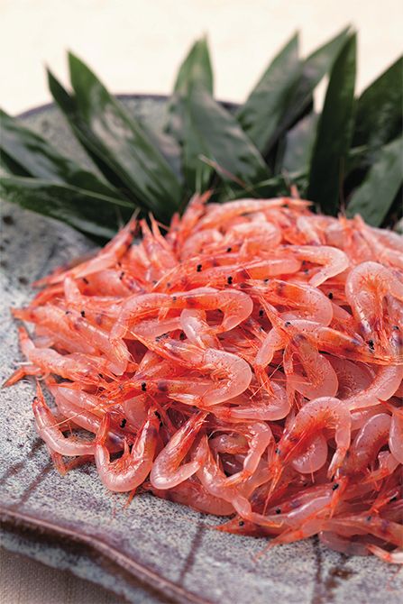 駿河湾の宝である桜えび