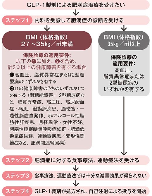 日本肥満学会「肥満症治療薬の安全・適正使用に関するステートメント」(2023年11月25日策定)を参考に作成