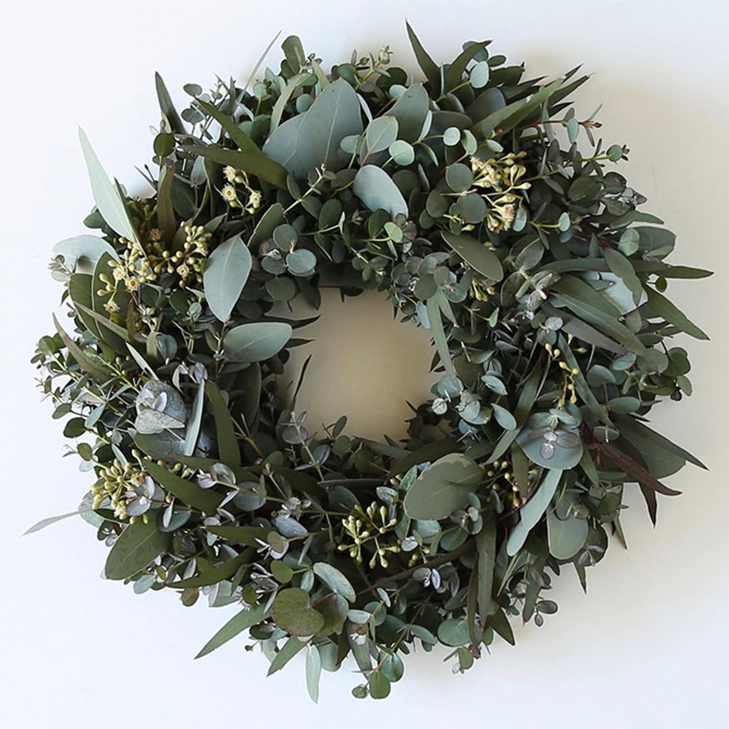 ポポラス、グニー、丸葉、ニッコリー、そして‘銀世界’と、5種類のユーカリを集めてリースに。淡い黄色の蕾はポポラスです。原産地では遠くから眺めたユーカリの林が霞んで見えることを「ブルーフェーズ(青霞)」と呼ぶのだそうです。ちょうどこのリースの色合いでしょうか。木のつるで編んだリースベース（約20cm）を利用。