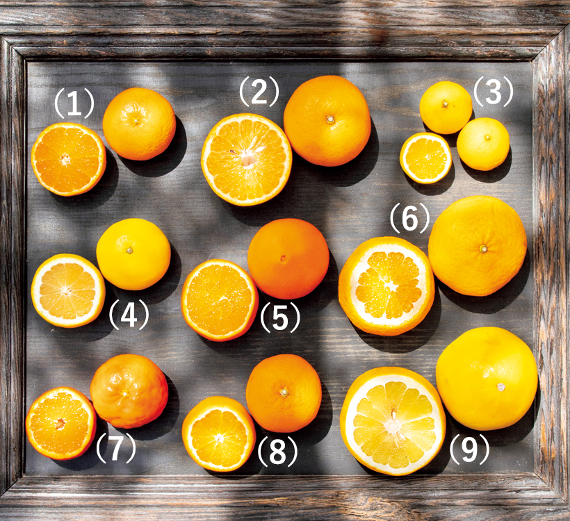 柑橘王国ニッポン】パティシエ・江森宏之さんが教える注目品種と