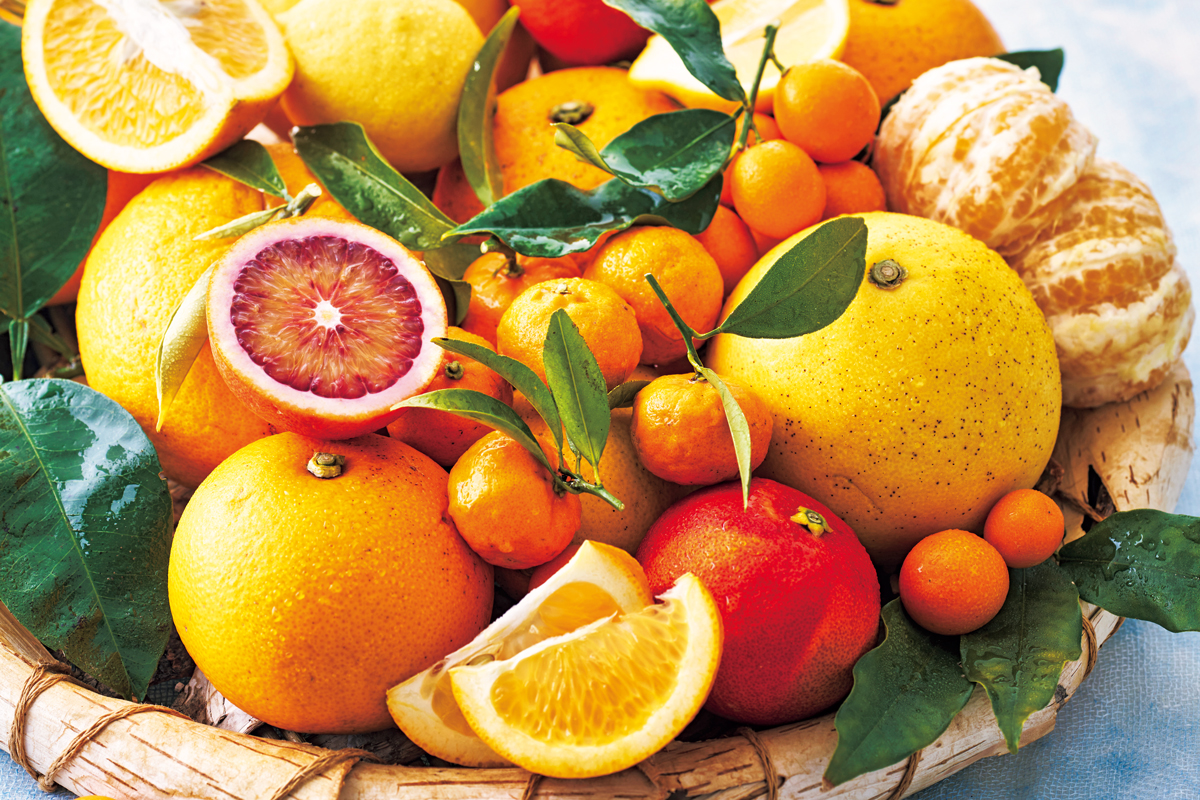 柑橘王国ニッポン】パティシエ・江森宏之さんが教える注目品種と