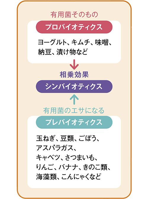 出典:公益財団法人腸内細菌学会のHPより作図