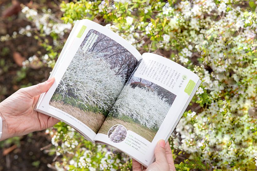 いつもの散歩道がもっと楽しくなります。