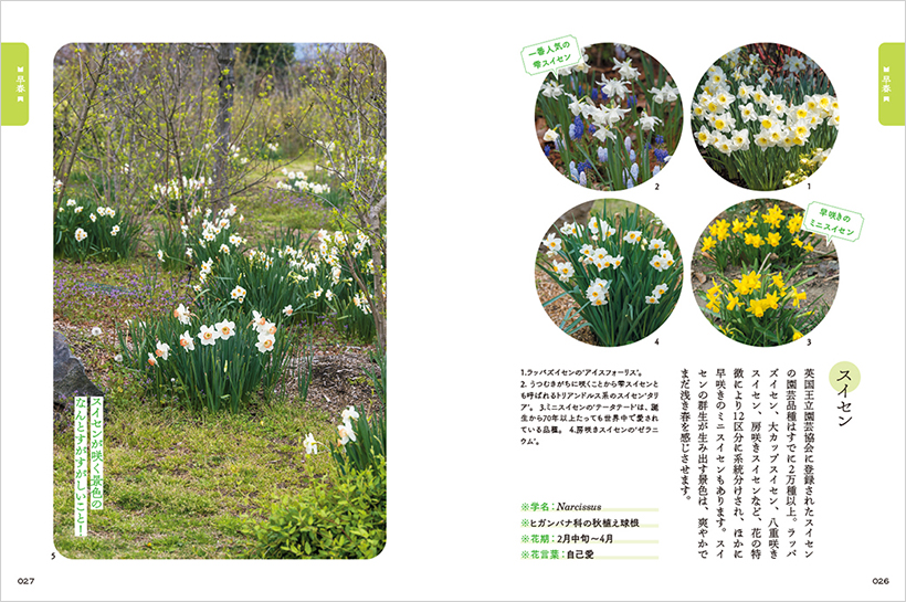 月が注ぐ花ページ 春の散歩のお供にぴったり。人気連載が書籍になりました『街で見かける