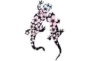 アカハライモリの求愛メッセージとは？　連載「いのちに想う」4月