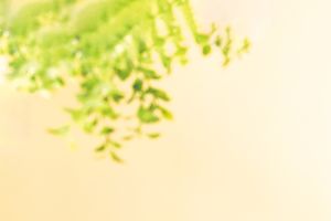 実はすごい「ビタミンD」。風邪の対策や、更年期の骨のため、花粉症、糖尿病にも