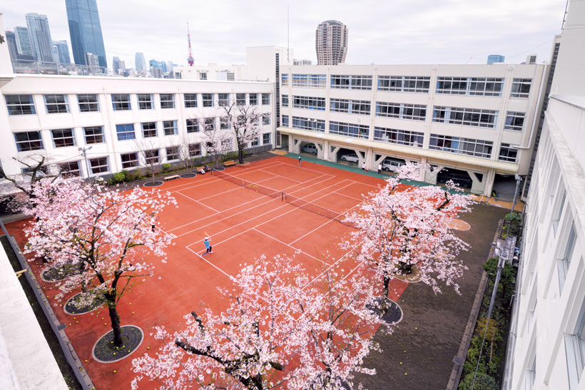 学び舎の桜を訪ねて──麻布中学校・高等学校 自由な校風のもと花開く