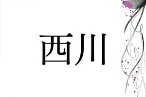 「西川」さんのルーツは、中世の人達が好んで住んだ"日当たりの良い場所”