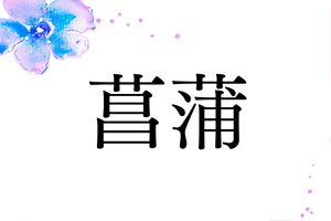 5月5日はこどもの日。「菖蒲」という名字は、地域によってくっきりと読み方が分かれます