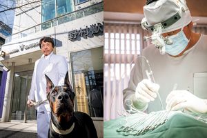 動物たちの命を守れ！100パーセント動物本位の医療を目指す「野村獣医科Vセンター」のすべて