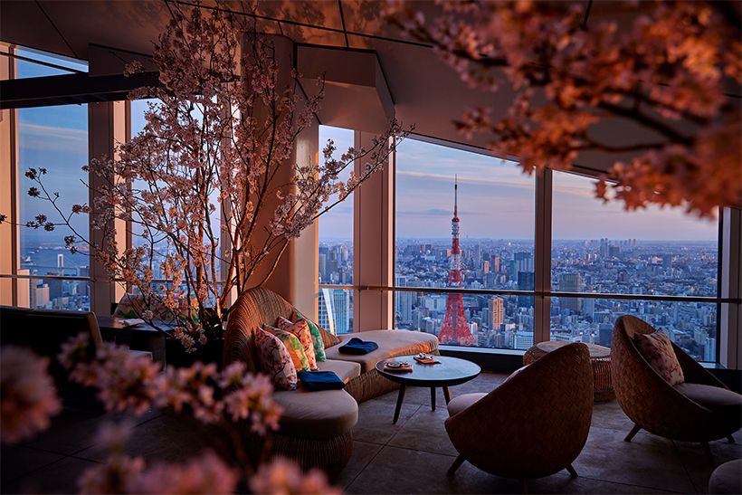 ルーフトップ バーに、本物の桜が咲き誇ります。