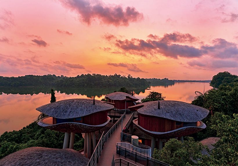 ⓒMandai Rainforest Resort by Banyan Tree 2025年3月10日現在、1S$＝110.69円