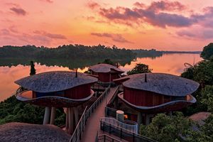 シンガポールの自然と野生動物に囲まれた調和型リゾートへ！