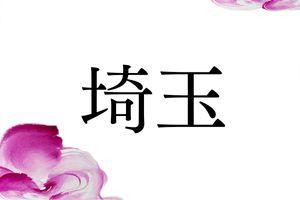 珍しい「埼玉」という名字。そのルーツは埼玉県でもさいたま市でもありません