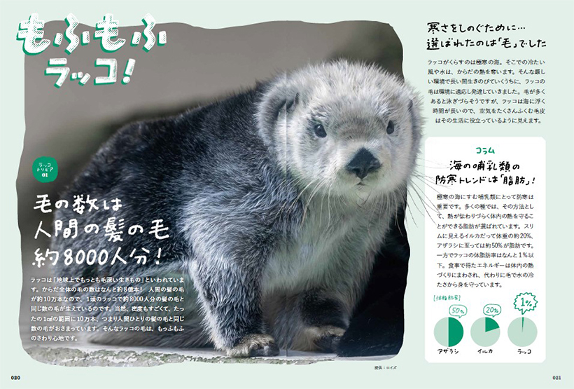 重版中！ ラッコにときめくあなたに贈る『ラッコ沼への招待状』【書籍