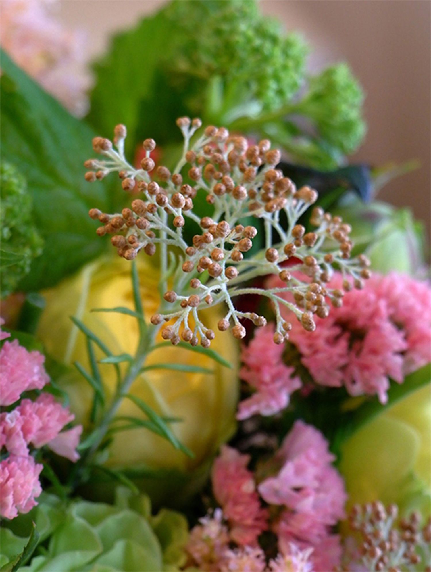 ライスフラワー‘ゴールド’をアップでご覧ください。アンティークな雰囲気のある金色です。