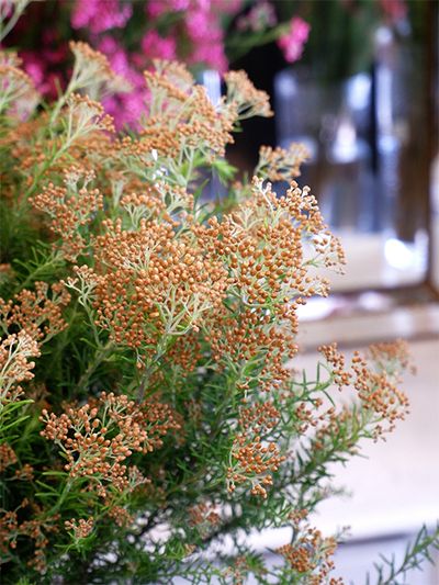 ゴールドといっても鮮やかな黄色、または茶色が多いのですが、このゴールドは光の加減で光沢感があるように見え、ブーケやアレンジに加えるとゴージャスな雰囲気が出ます。