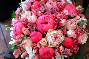 出会えるのは春だけ。驚きの鮮度と花色で、今贈りたい！和歌山県の「有田のライスフラワー」