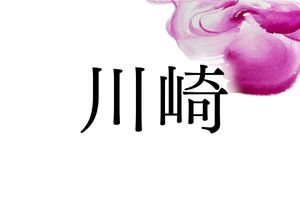 地形に由来する「崎」のつく名字。川崎、山崎、岡崎など、「崎」とはどういう場所？