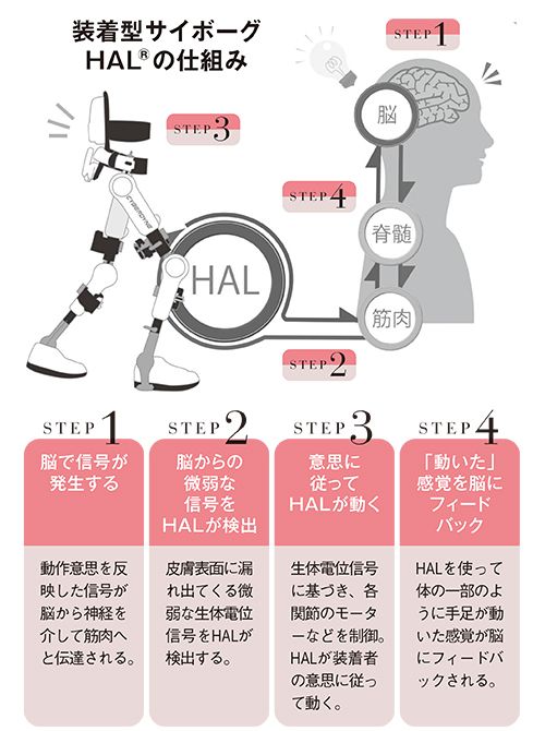 CYBERDYNE提供の資料を参考に作成