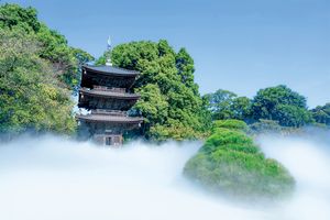 「ホテル椿山荘東京」の象徴ともいえる三重塔の移築100周年を記念した特別な庭園演出が登場