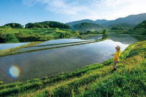 今森光彦さん「いきものと歩む“環境農家”の愉しみ」第2回 農地を手に入れる