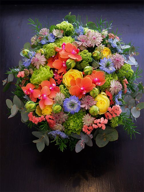 福岡県久留米市の「秋山花園」さんから届いたアストランティア‘ローマ’。弁先の濃いピンクがエレガントな印象です。アップで見ると飾りボタンのようなかわいらしさ！