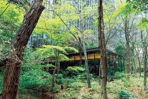 森の中に佇む「アマン東京」のカフェで、初夏限定のメニューに出合う