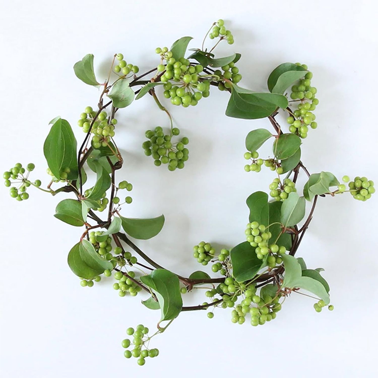 サンキライのつるを利用したリースはナチュラルな印象でとても爽やか。つるを巻いたサークルをよくご覧ください。きれいな円になっているでしょう！あちこち向く葉やサークルからはみ出す実の動きも楽しい！洋風のインテリアだけでなく、和室にも合うテイストだと思います。