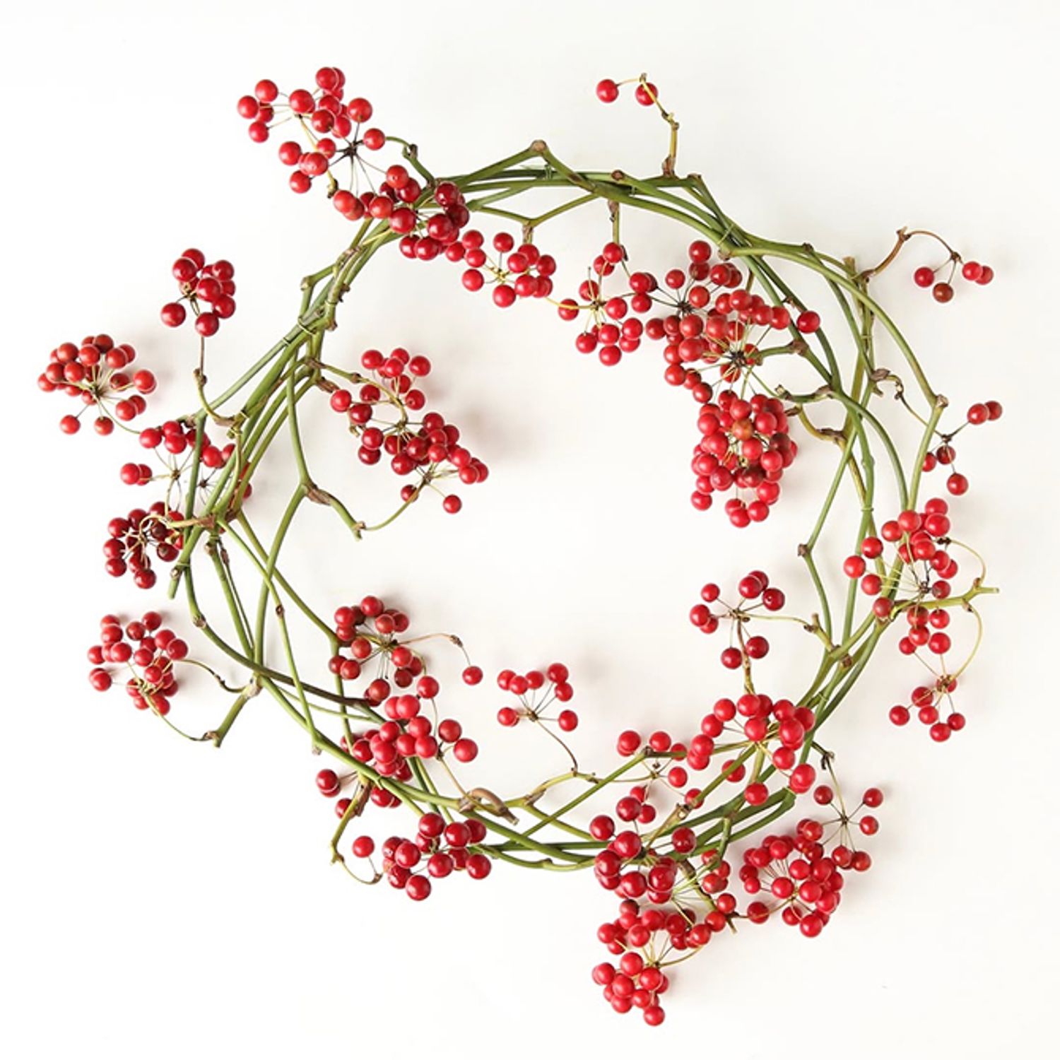 クリスマス前には真っ赤になったサンキライが出回ります。コニファーなどにアクセントとして赤い実を加えたクリスマスリースをよく作りますが、とてもきれいなサンキライを入手できたので、つるも利用してリースにしてみました。鮮やかな赤のつやつやの実が魅力的。