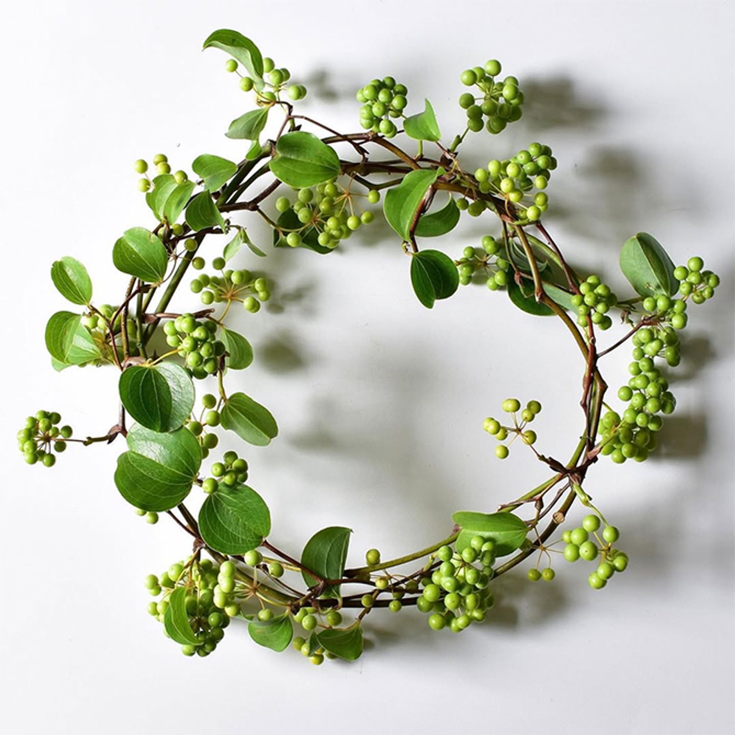 こちらもサンキライのみのリースですが、葉や実の付き方が違うと印象も少し異なります。自然のつるをそのまま生かすので、まったく同じリースはできないところもまたおもしろいところです。